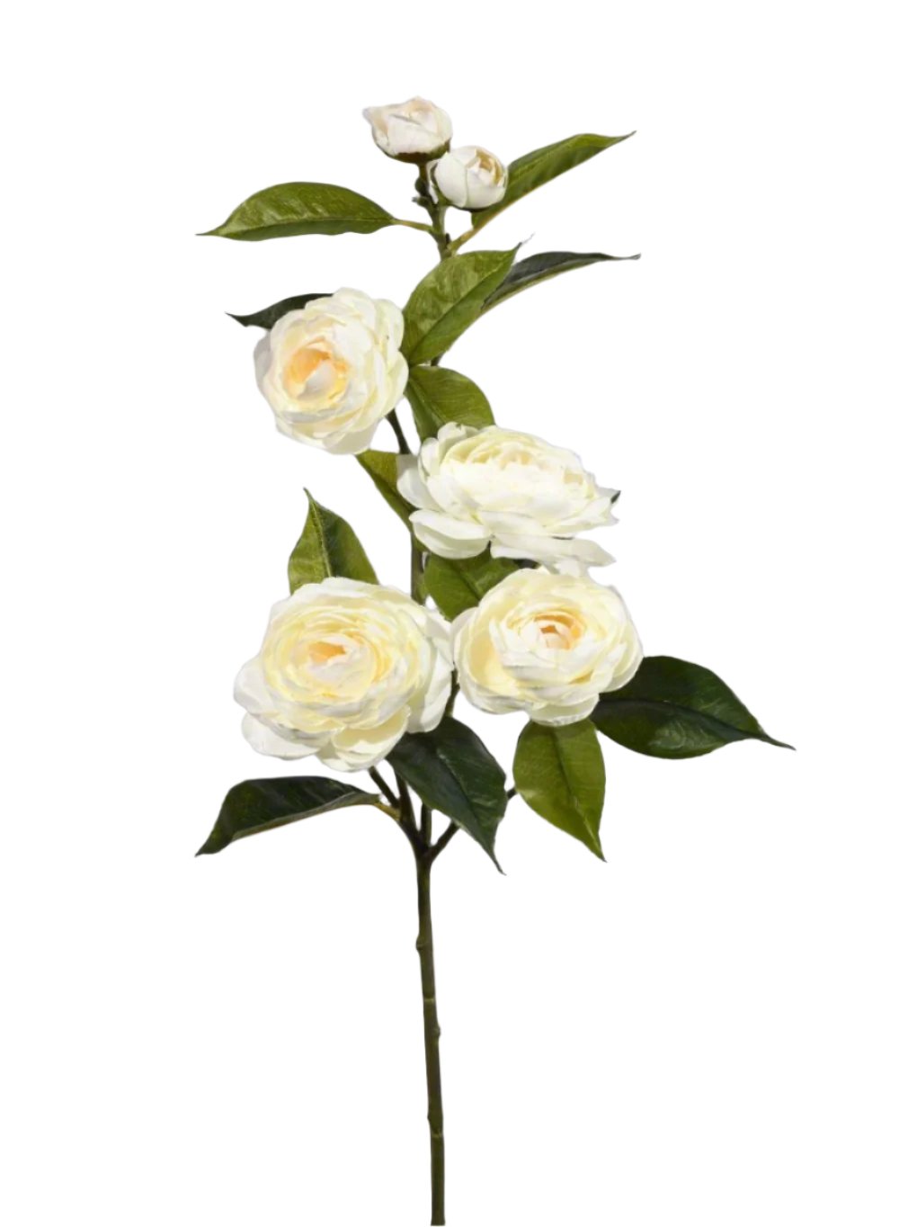 30" Cream Camellia Spray, Sold Individually and Pack of 12