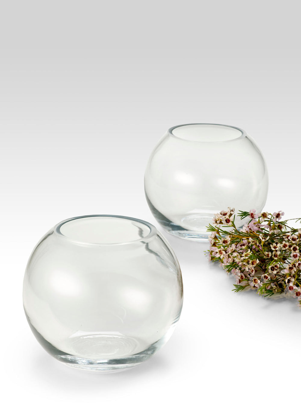 Round Glass Fishbowl, 5" Tall & 6" Diameter