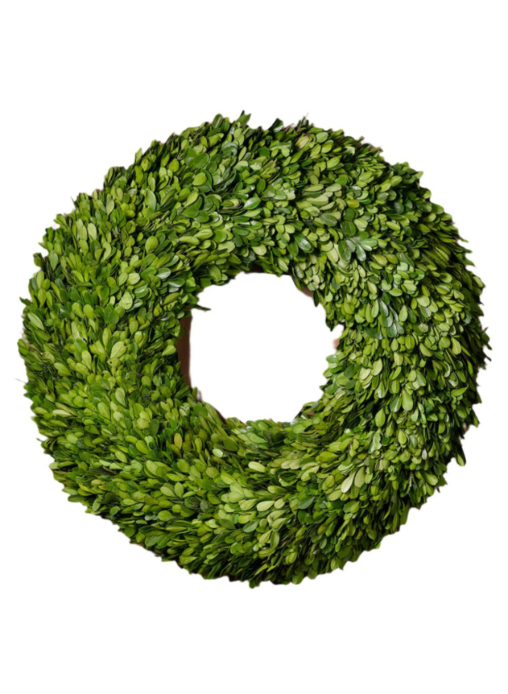 Preserved Boxwood Wreaths & Garland, In Various Sizes