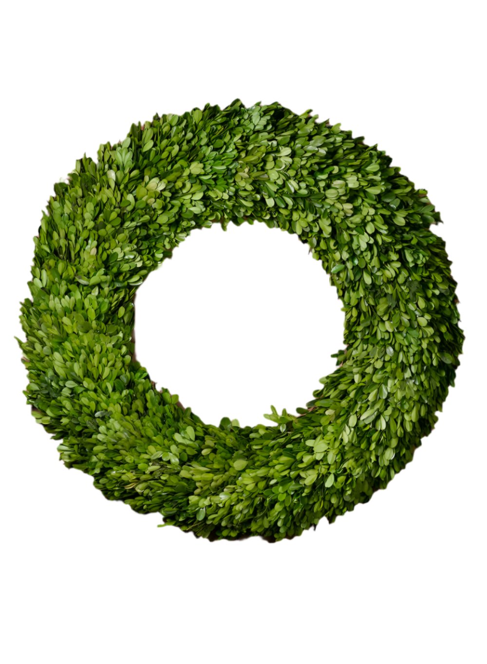 Preserved Boxwood Wreaths & Garland, In Various Sizes