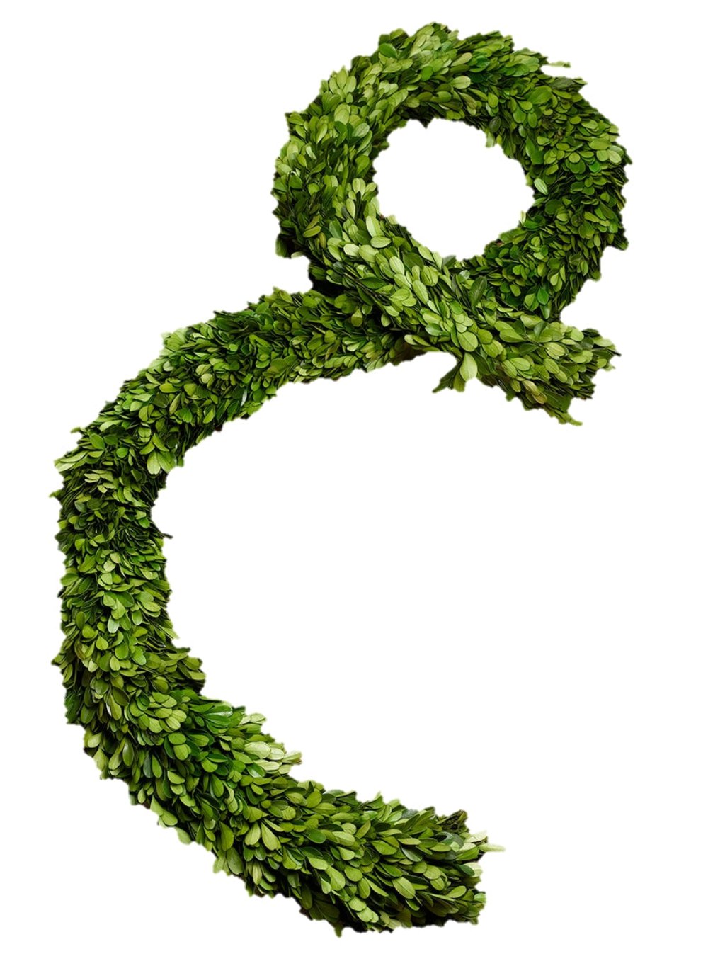 Preserved Boxwood Wreaths & Garland, In Various Sizes