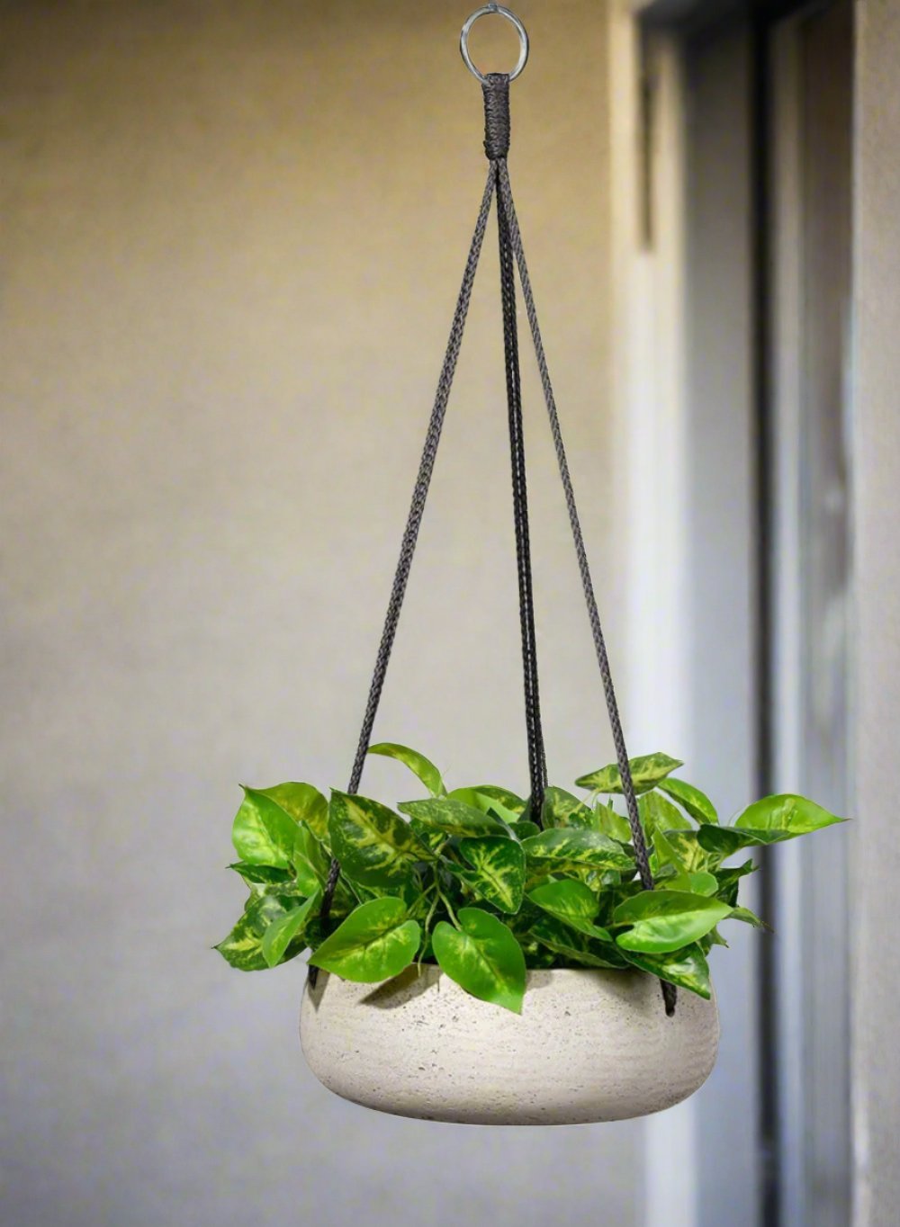 Round Cement Hanging Planter, in 3 Sizes