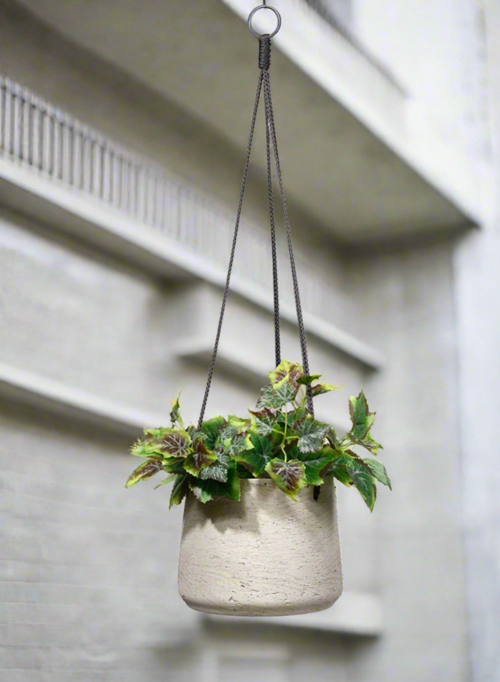 Round Cement Hanging Planter, in 3 Sizes