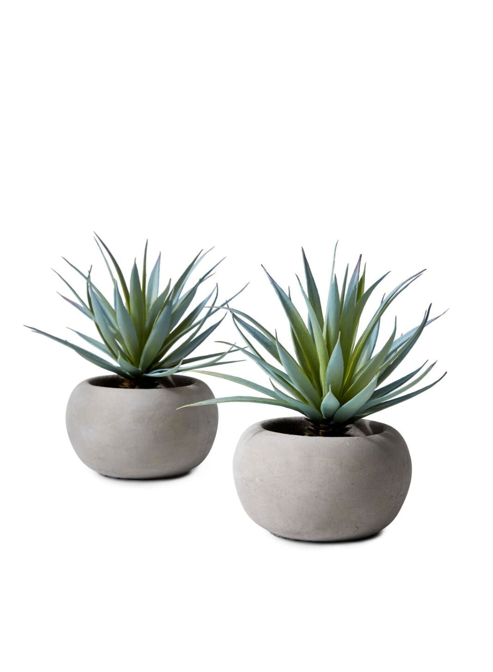 Sword Grass in Grey Cement Pot, Set of 2