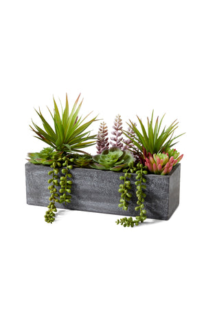 Mixed Succulent in Rectangle Planter, 12" L x 4.5" W x 9" H