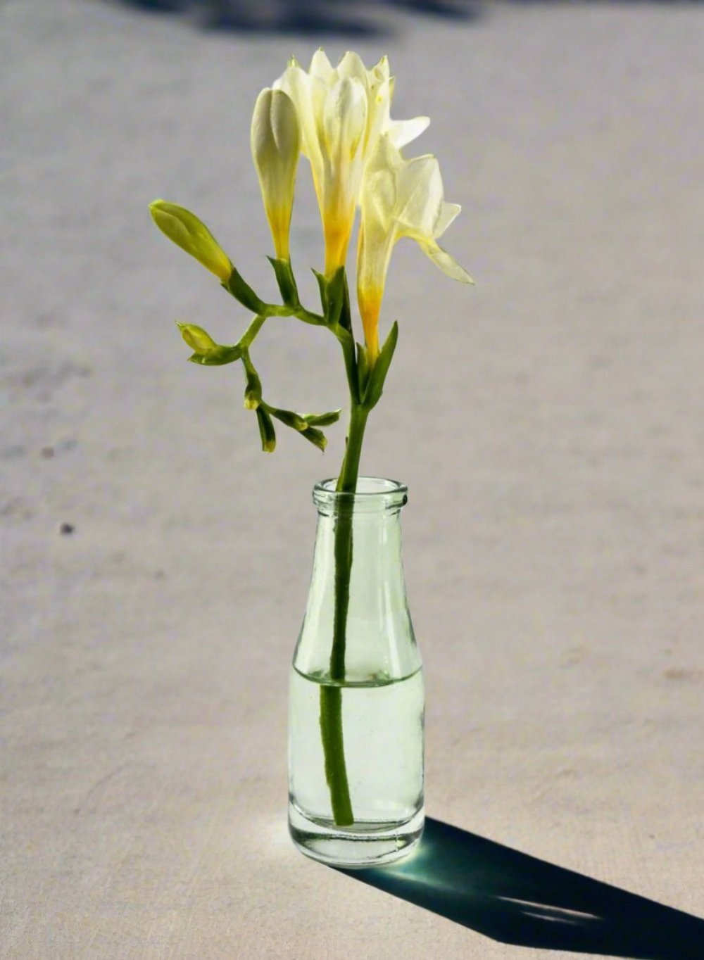 Vintage Green Glass Vase, Set of 6, in 3 Shapes