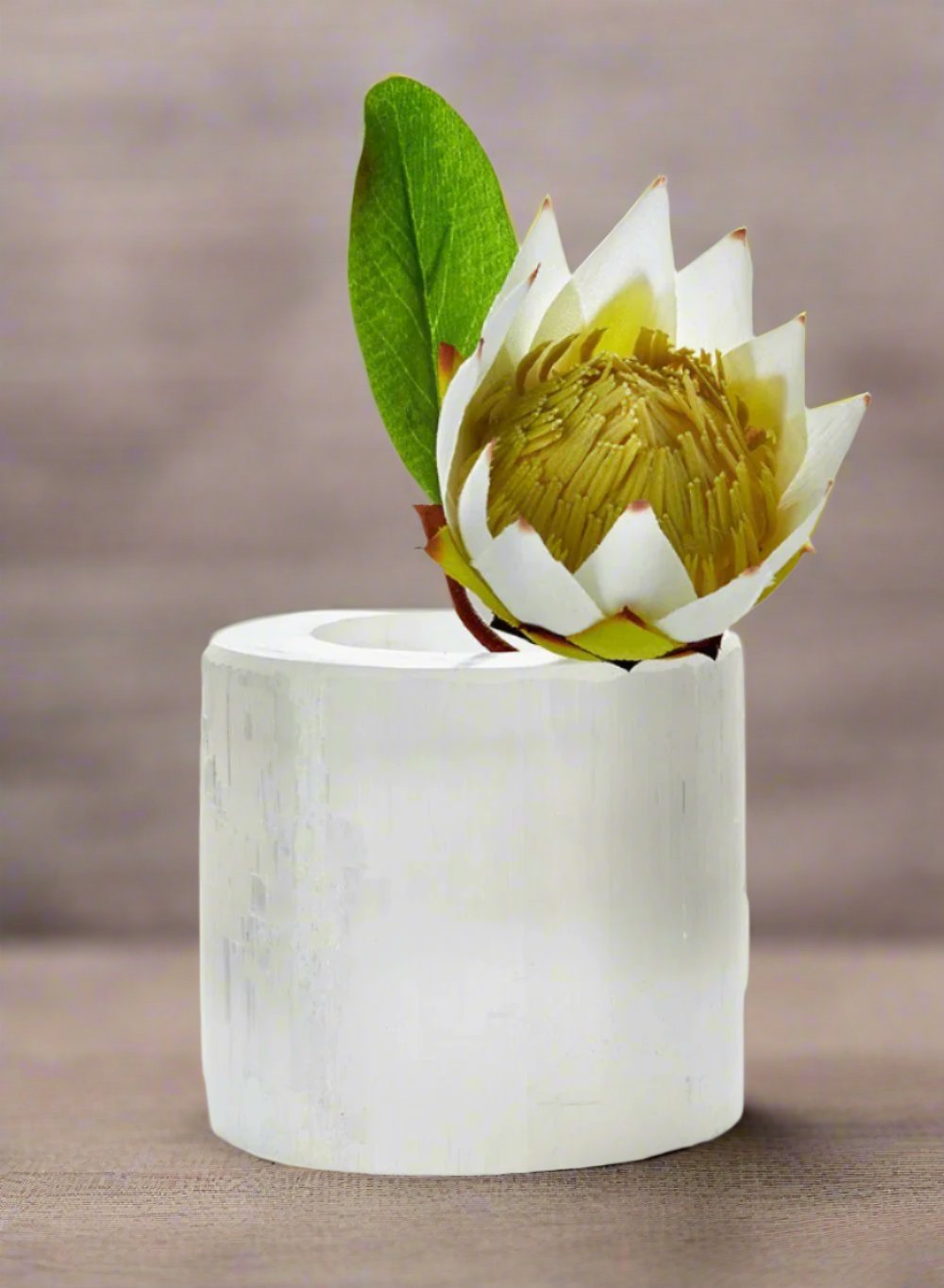 Genuine Selenite Trunk Vase, in 2 Sizes