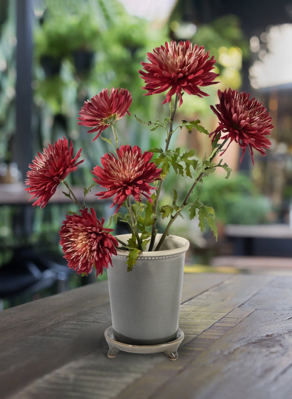 Grey Ceramic Pot and Saucer, 7" Tall & 6" Diameter