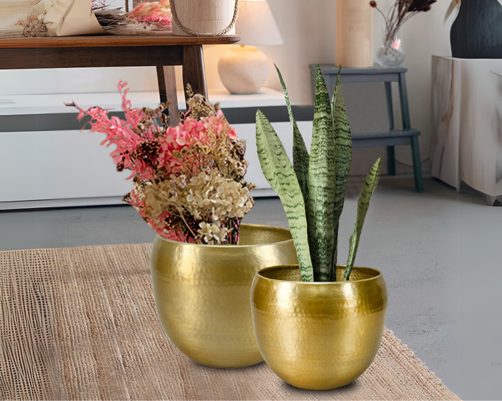 Bring Life to Your Home with Trendy Pots and Planters