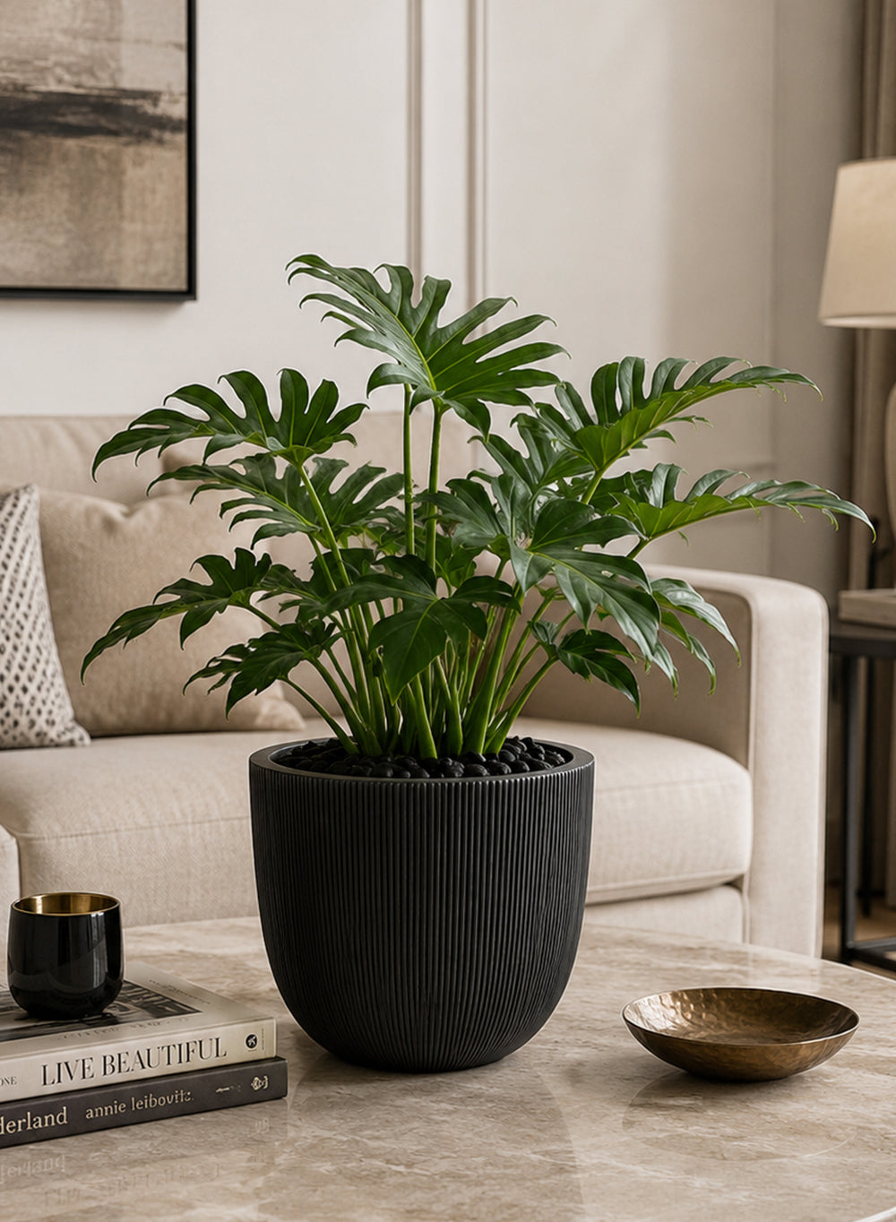 Ebon Ribbed PVC Planter Collection