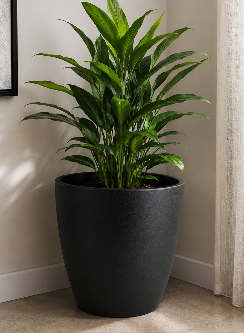 Ebon Tapered PVC Planter Pot Collection