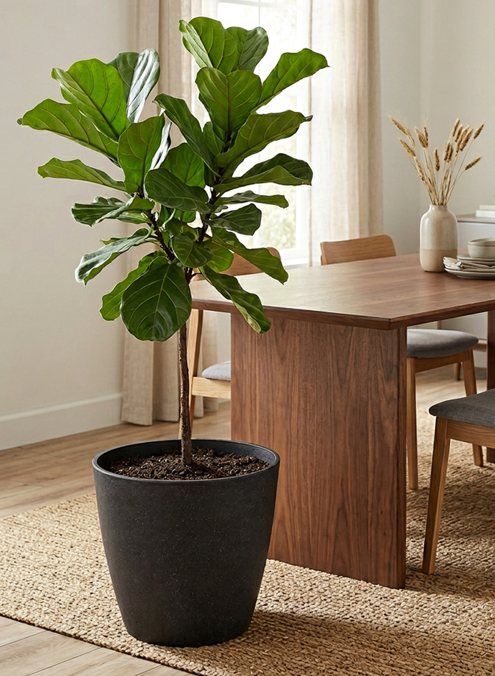 Ebon Tapered PVC Planter Pot Collection