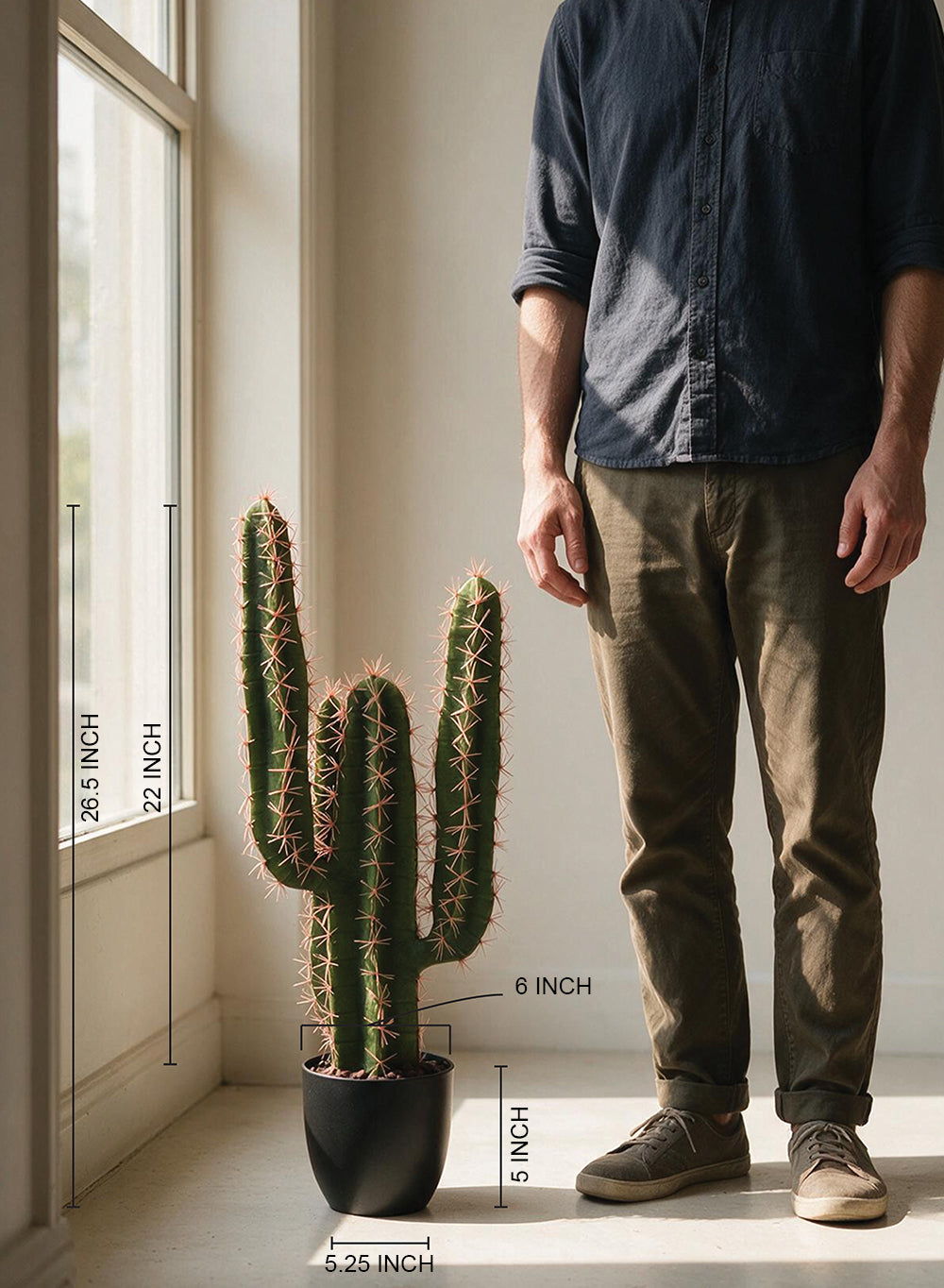 Desert Noir Faux Cactus in Black Pot, 6" Diameter & 26.5" Tall