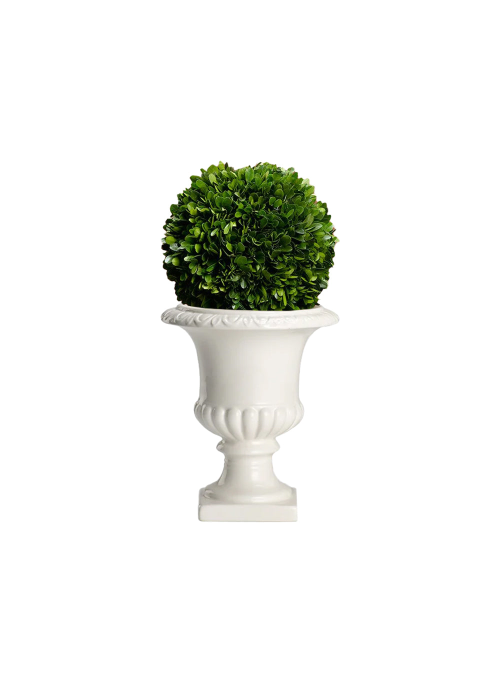 Bundle: Pedestal Urn with Boxwood Ball