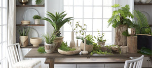  Paulownia Wood Collection 