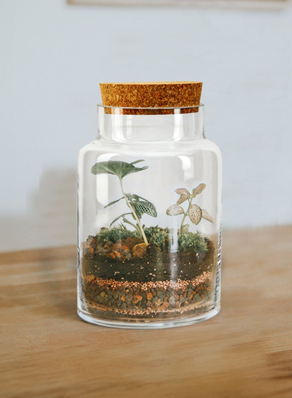 Terrarium Bottle Vase with Cork, in 4 Shapes