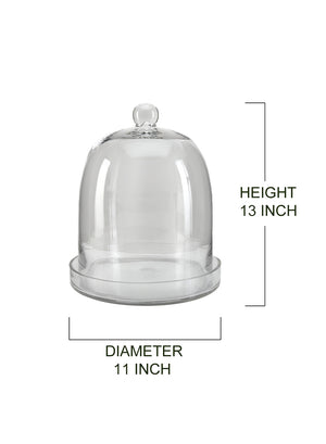 13" Glass Cloche with Base