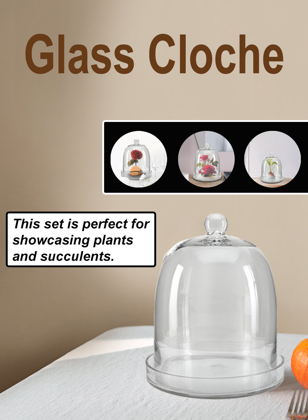 13" Glass Cloche with Base