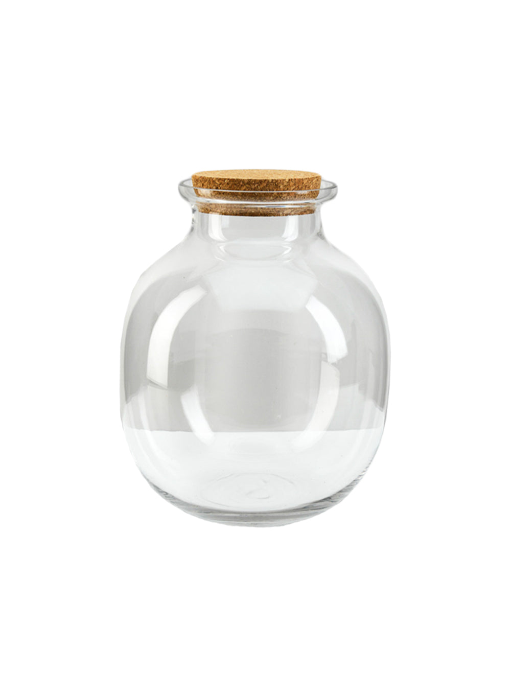 Terrarium Bottle Vase with Cork, in 4 Shapes