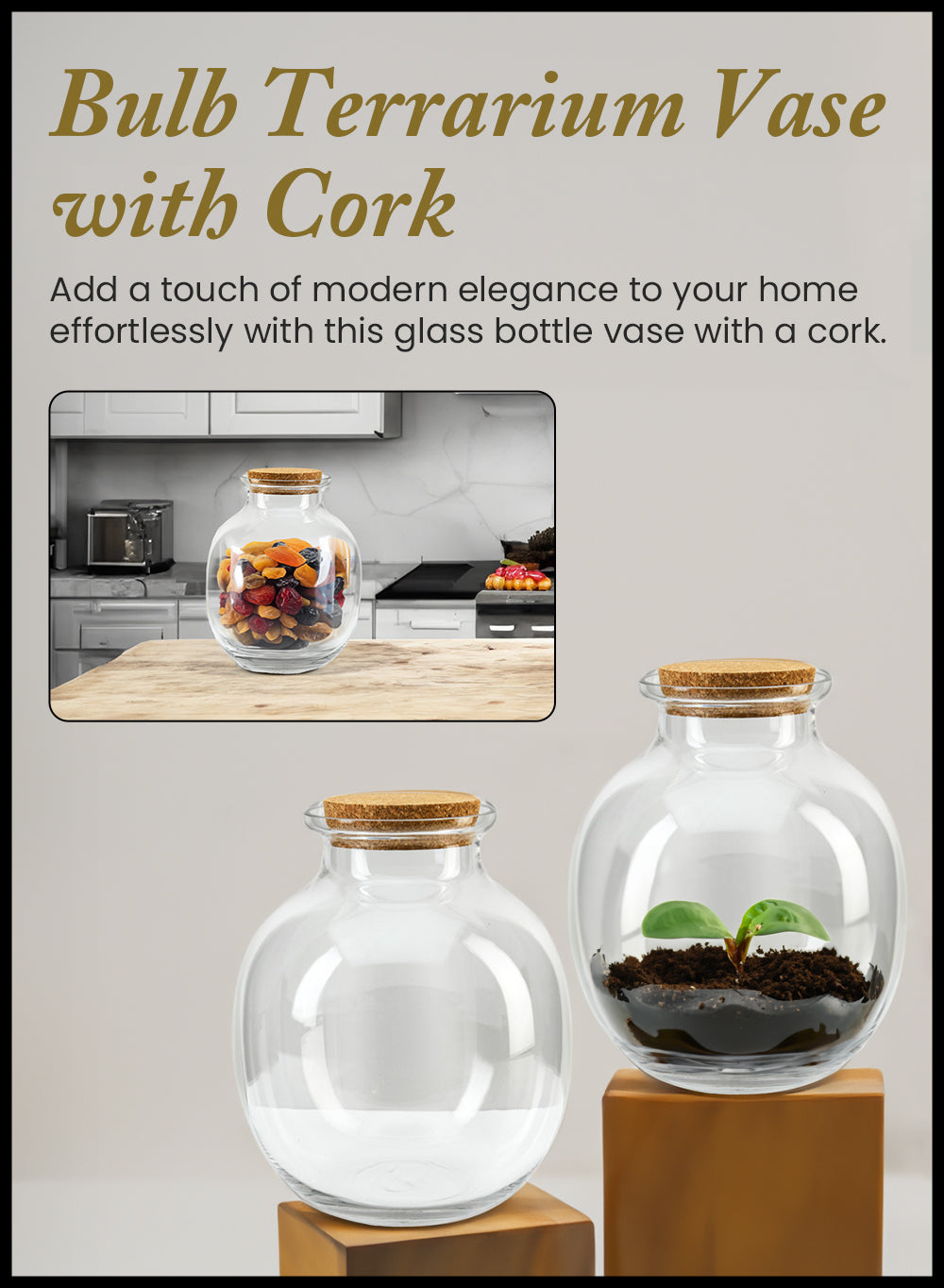 Terrarium Bottle Vase with Cork, in 4 Shapes