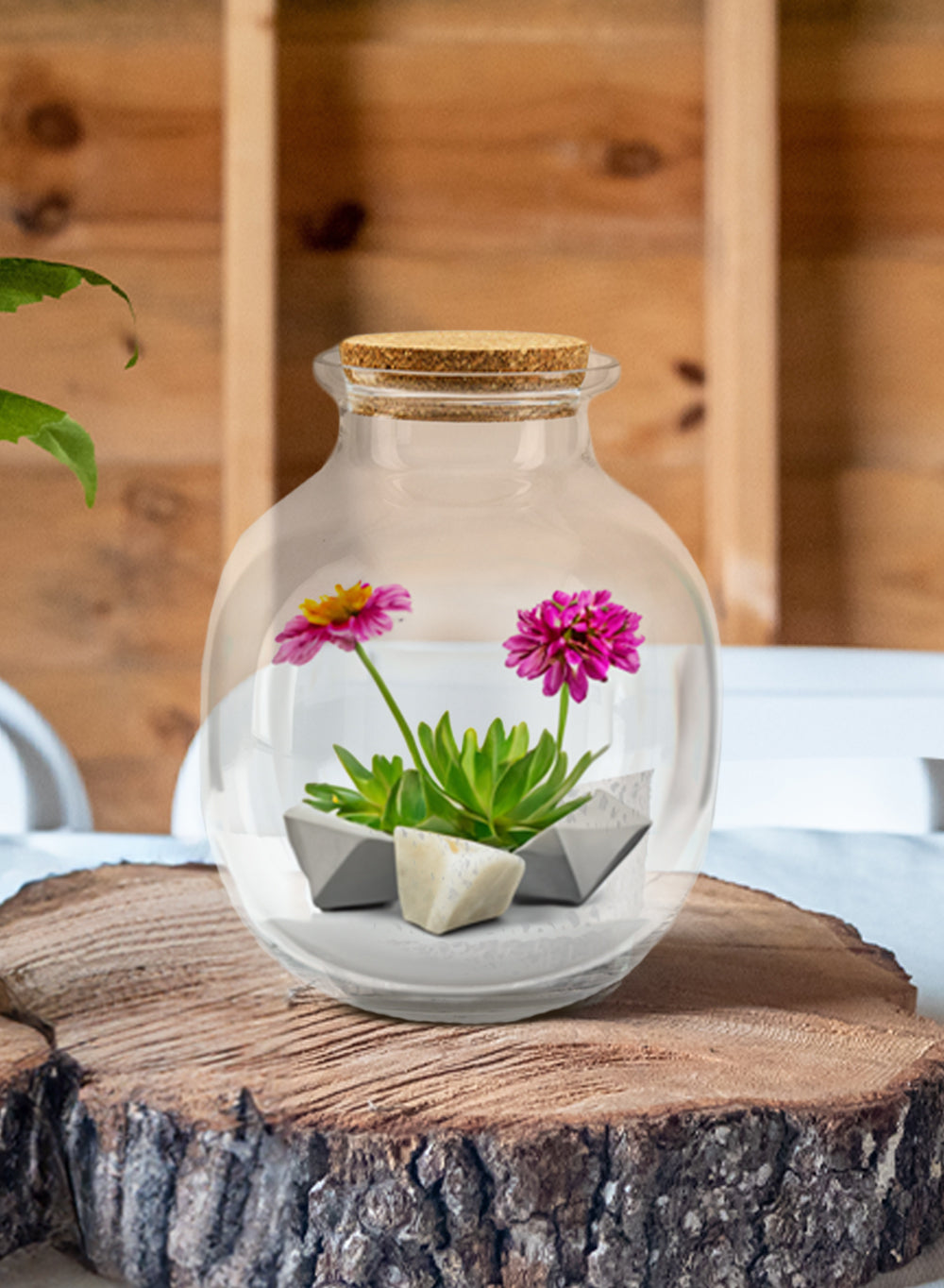 Terrarium Bottle Vase with Cork, in 4 Shapes