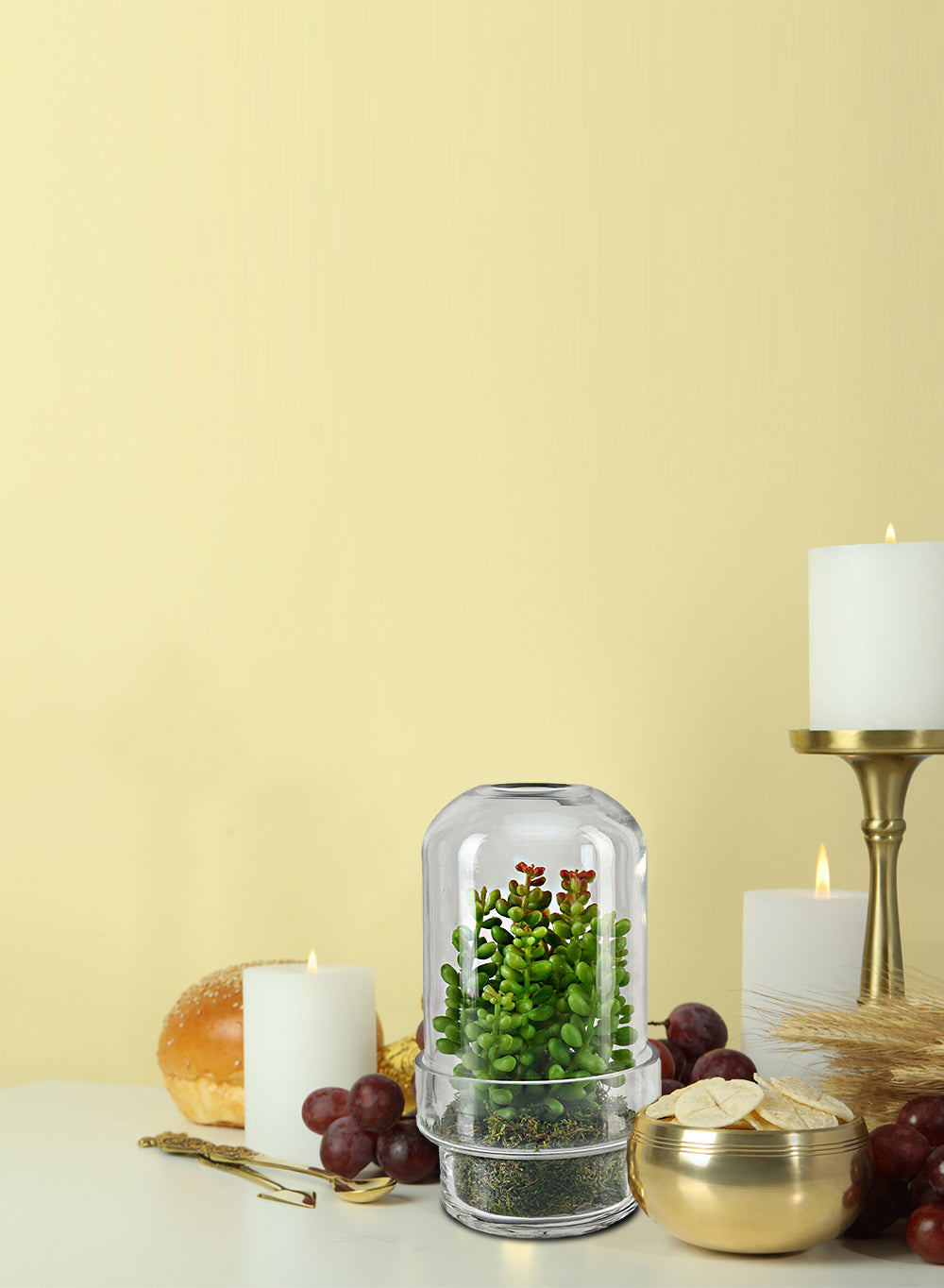 Capsule Glass Terrarium Vase, in 2 Sizes