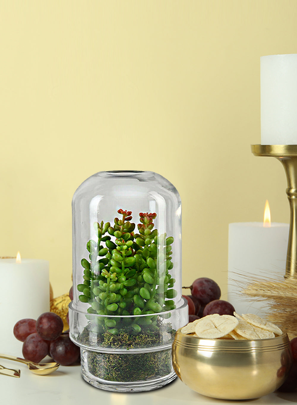 Capsule Glass Terrarium Vase, in 2 Sizes