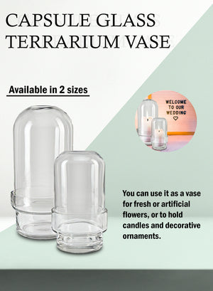 Capsule Glass Terrarium Vase, in 2 Sizes
