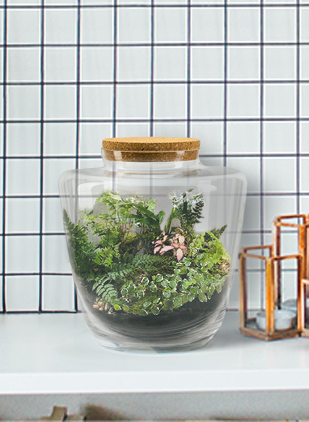 Terrarium Bottle Vase with Cork, in 4 Shapes