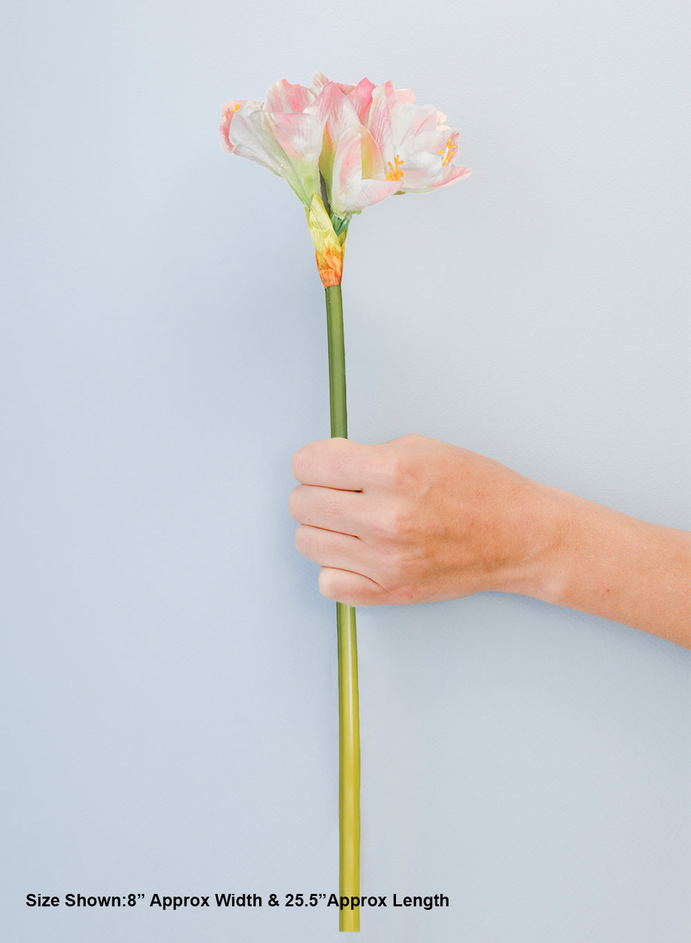 25.5" Lifelike Amaryllis Flower Stem, Pack of 12