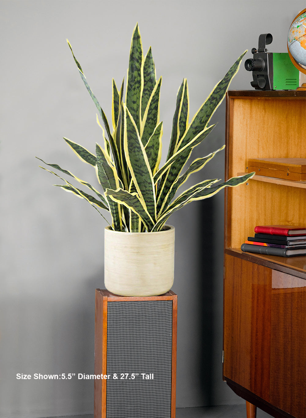 Lifelike Snake Plant in Ceramic Planter, 7" Diameter & 27.5" Tall
