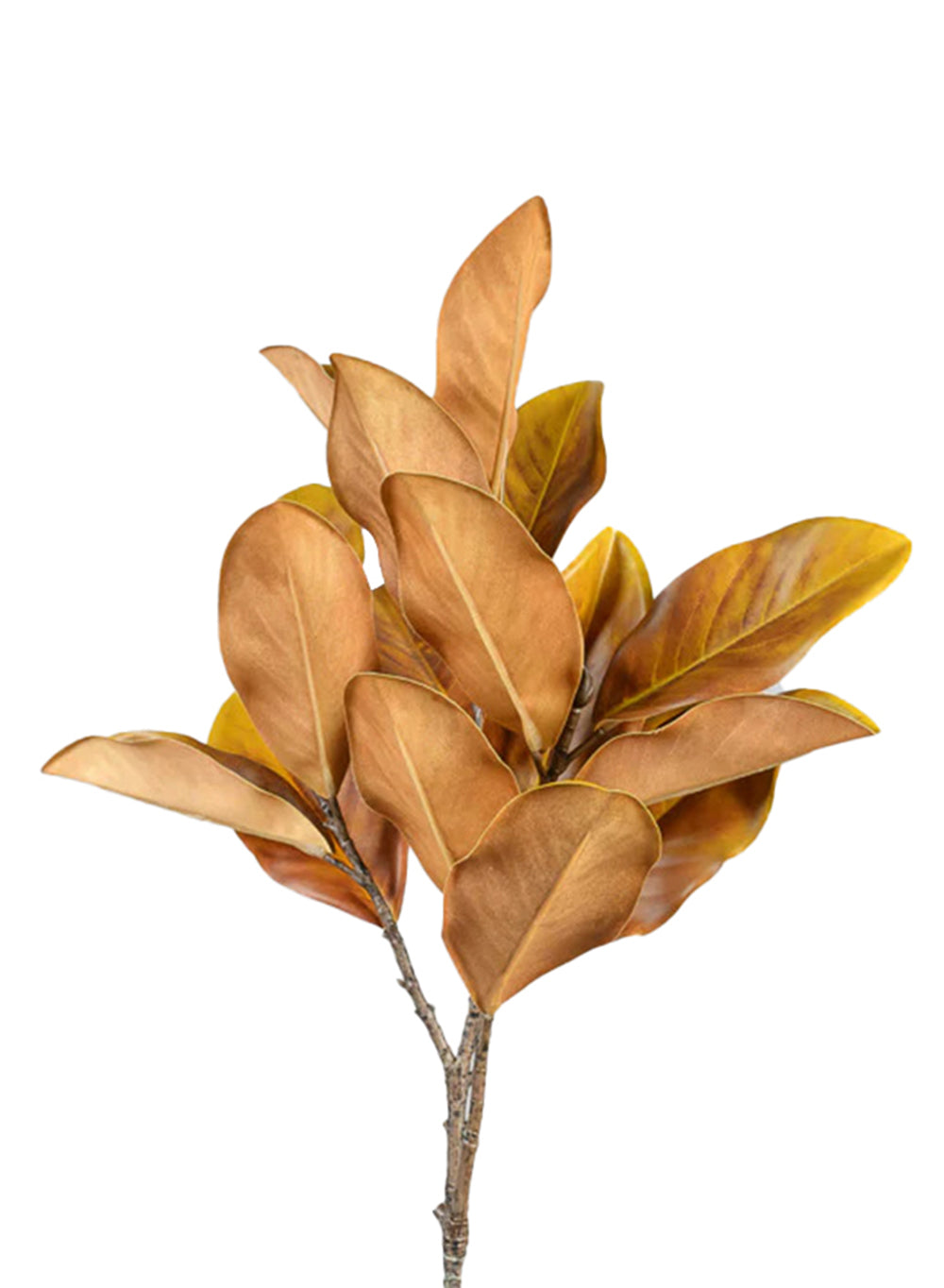 Real Touch Magnolia Stem, Pack of 6