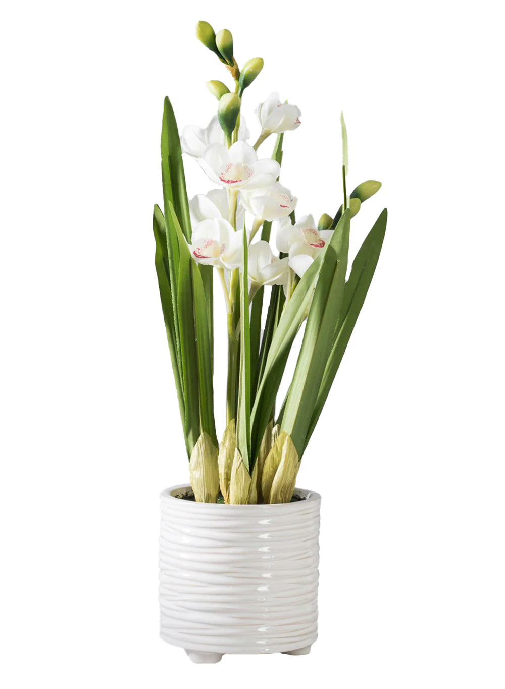 Lifelike White Orchid in Ribbed Ceramic Pot, 5.5" Diameter & 22" Tall