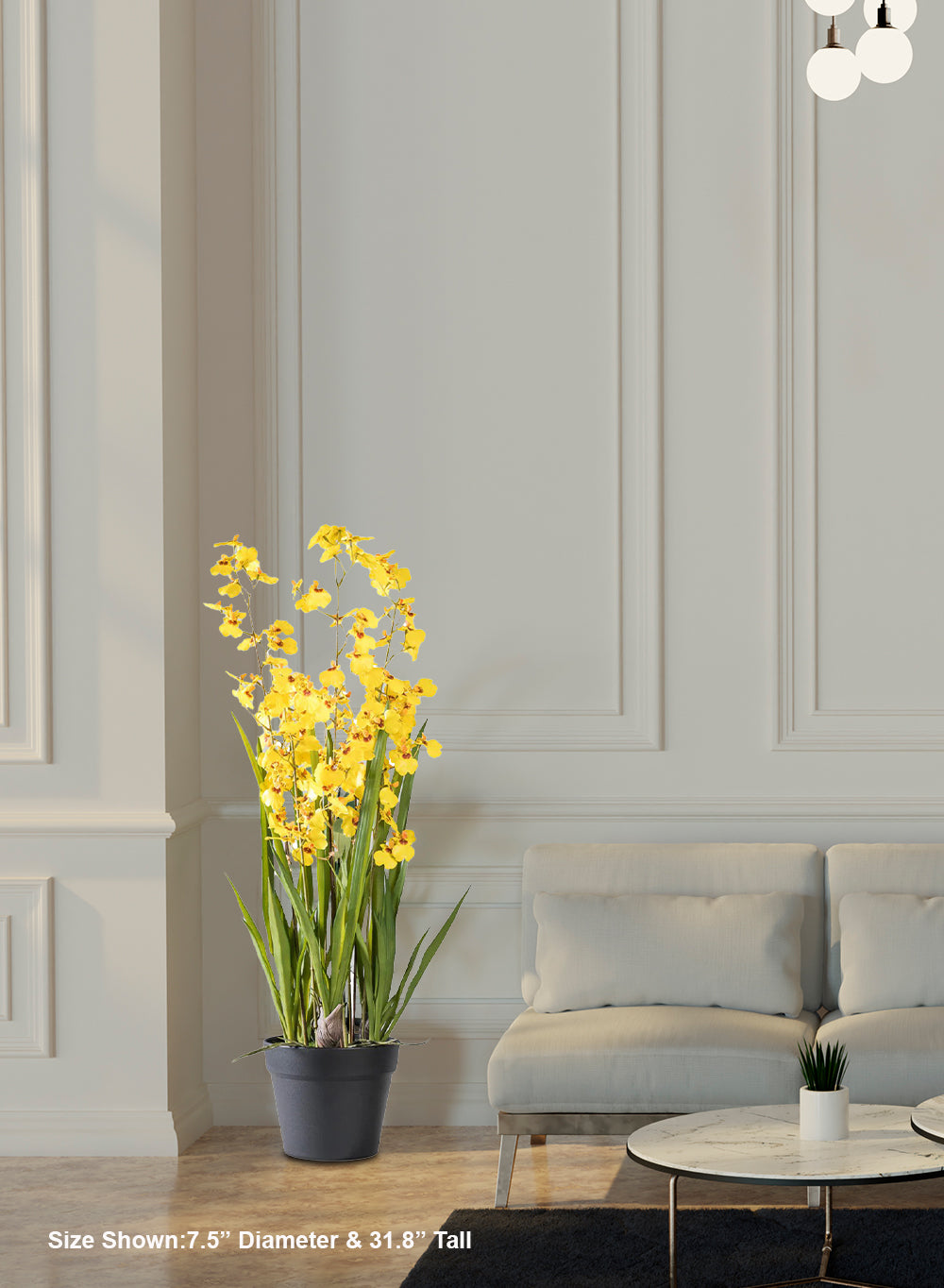 Yellow Orchid Plant in Black Pot, 7.5" Diameter & 31.8" Tall