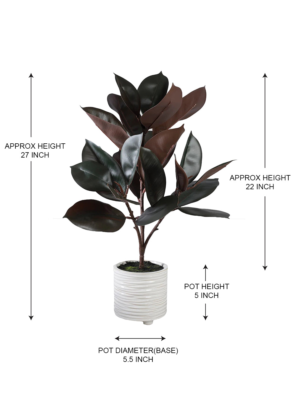 Faux Rubber Plant in Ribbed Ceramic Pot, 5.5" Diameter & 27" Tall