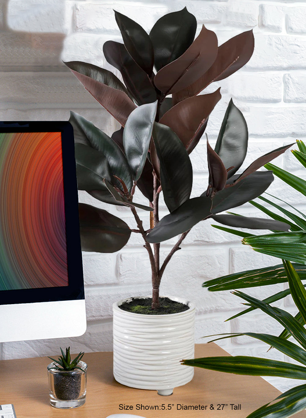Faux Rubber Plant in Ribbed Ceramic Pot, 5.5" Diameter & 27" Tall