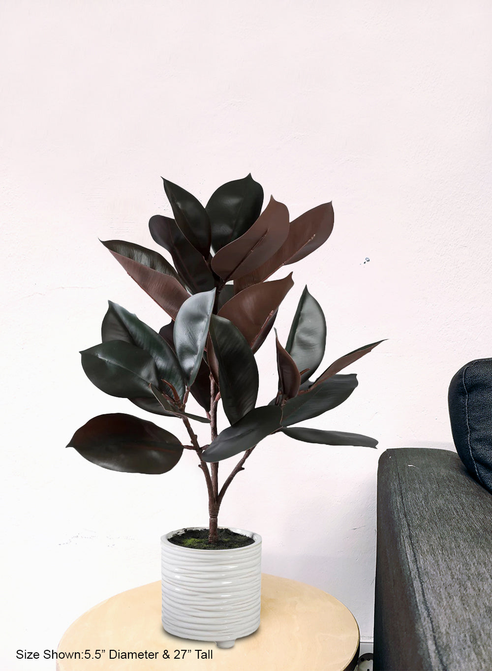 Faux Rubber Plant in Ribbed Ceramic Pot, 5.5" Diameter & 27" Tall