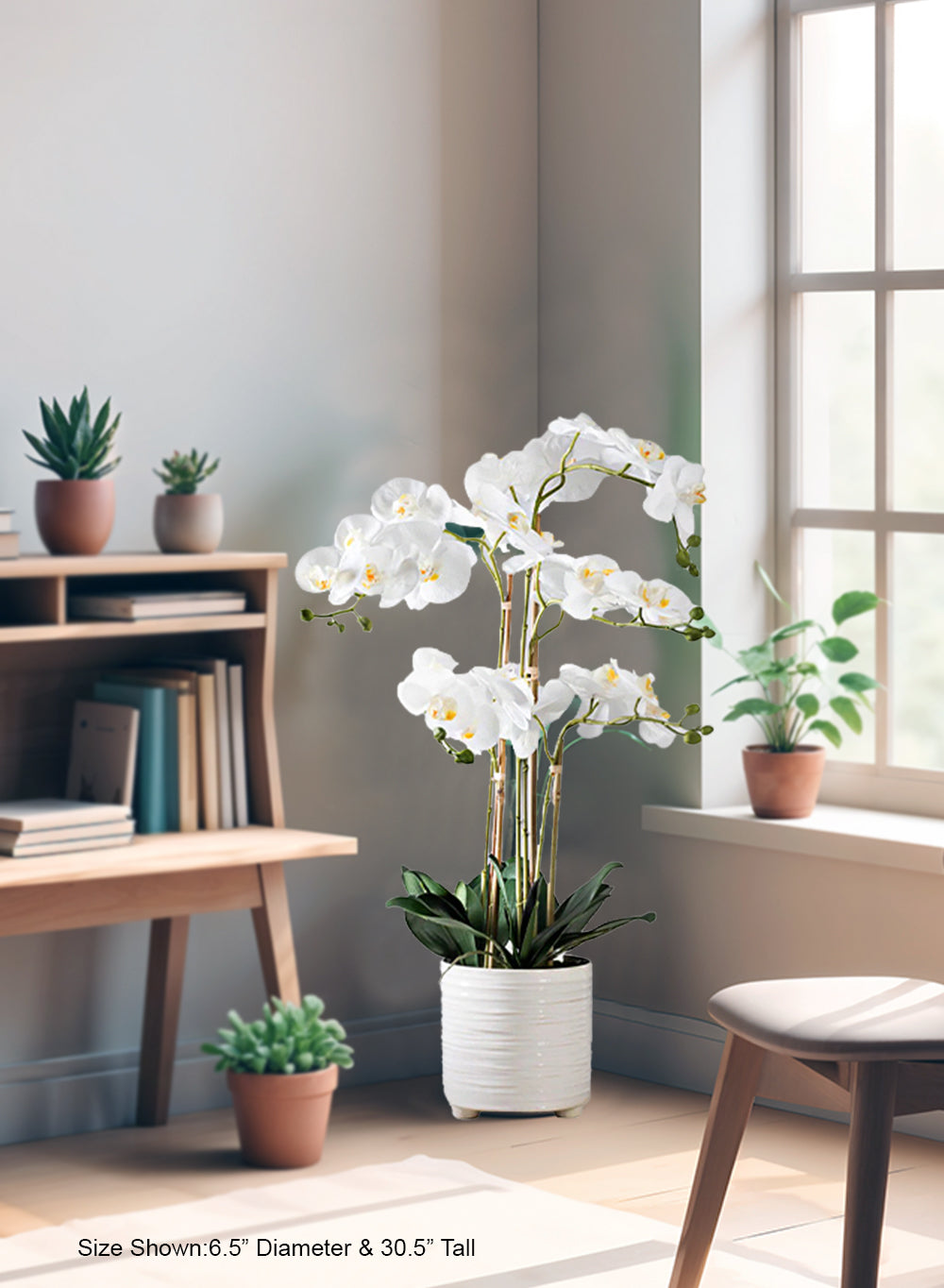 5-Stem Blooming Orchid in Ribbed Ceramic Pot, 6.5" Diameter & 30.5" Tall