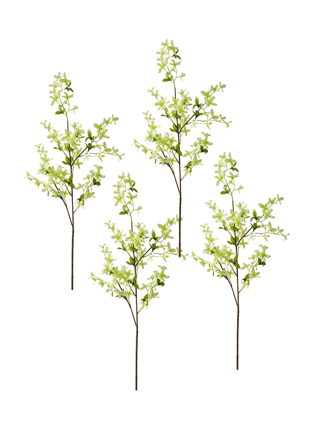 Serene Spaces Living Fake Green Forsythia Branches, 12 Pack of 40 Inch Artificial Orchids Flowers