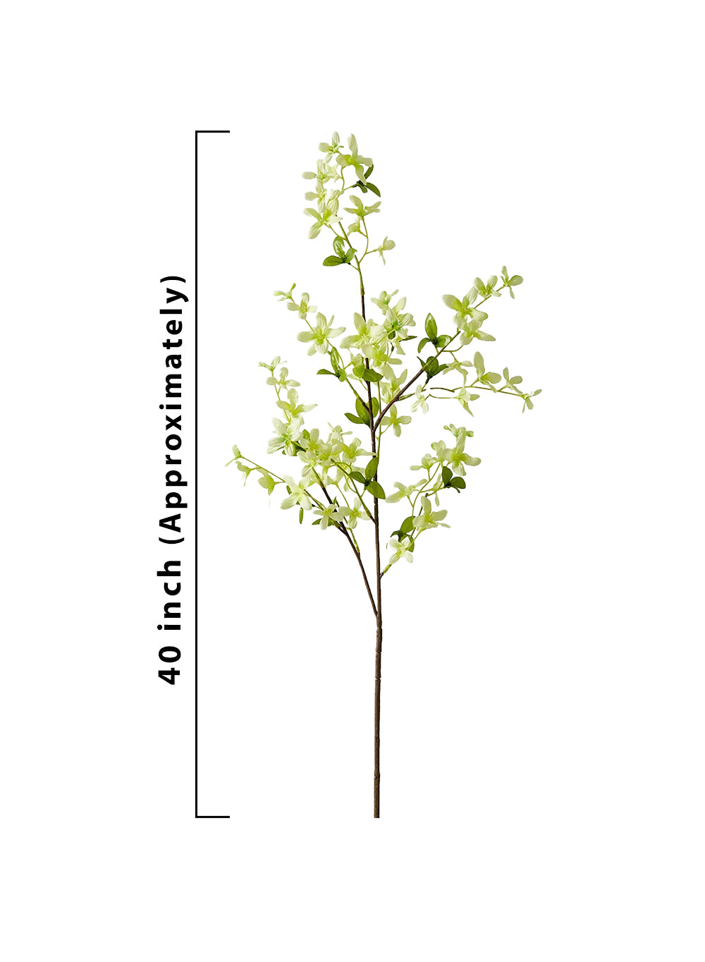 Serene Spaces Living Fake Green Forsythia Branches, 12 Pack of 40 Inch Artificial Orchids Flowers