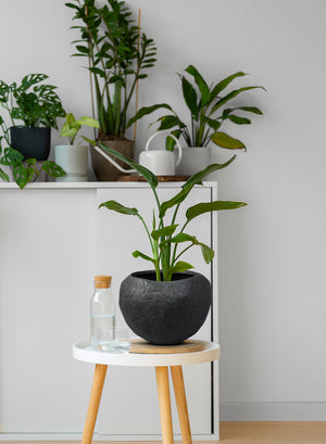 Black/ Beige TerraRock Artisan Planter