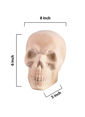 6" Life-Size White Flocked Human Skull