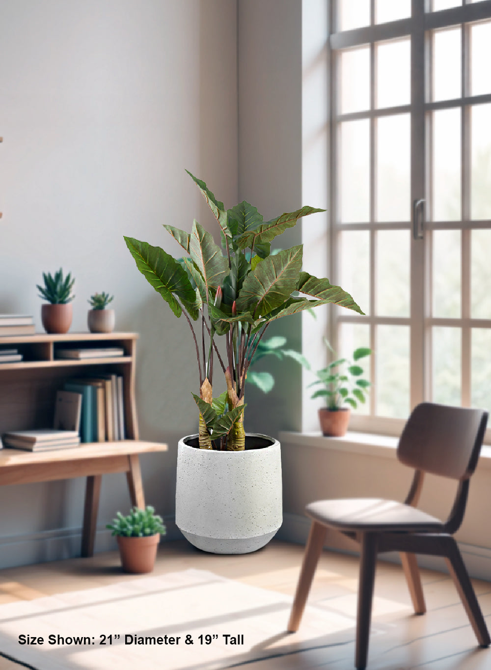 Sandora White Planter, Available in 3 Sizes