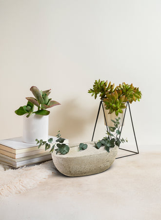 Beige Cement Oval Planter