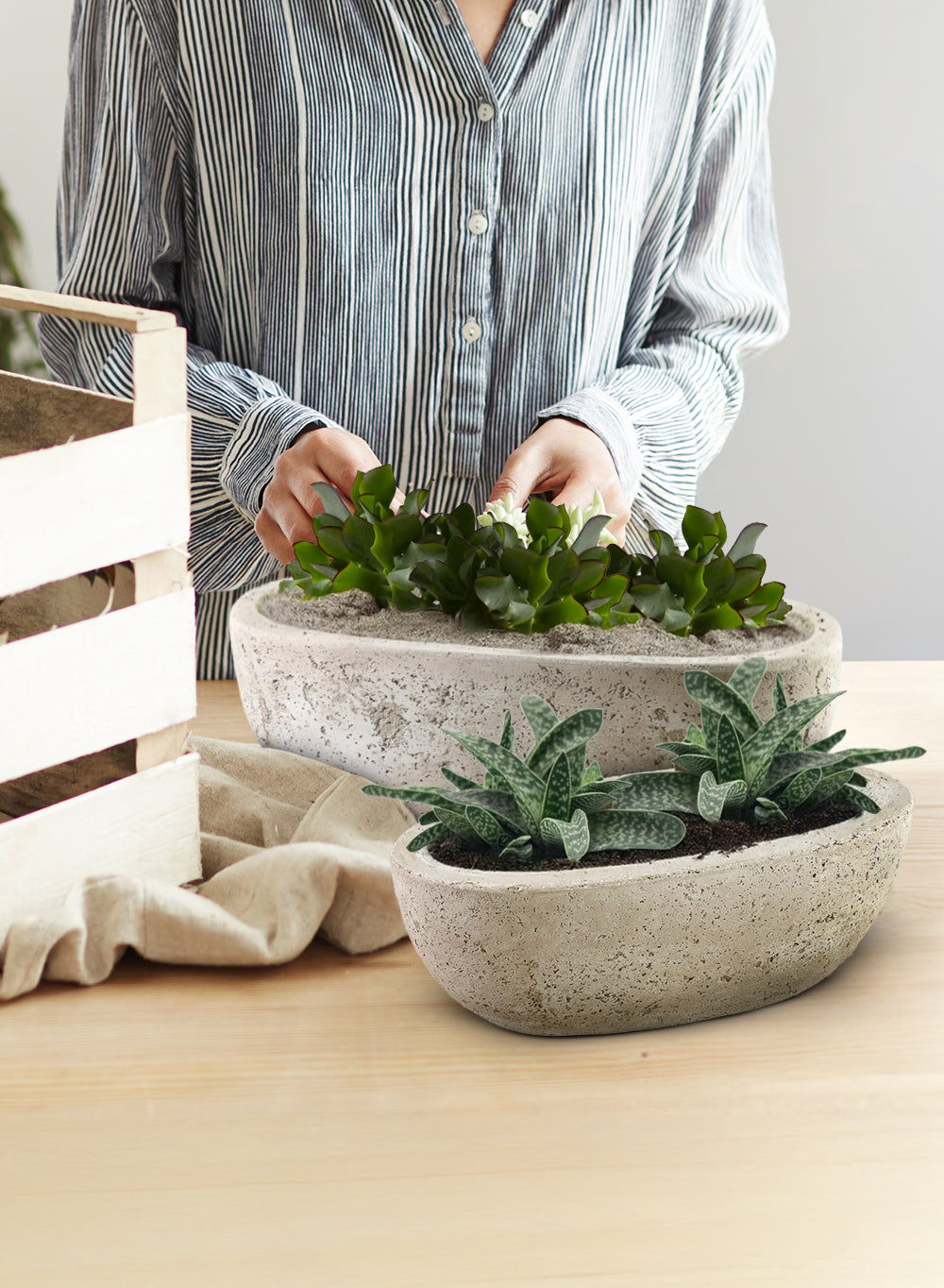 Beige Cement Oval Planter