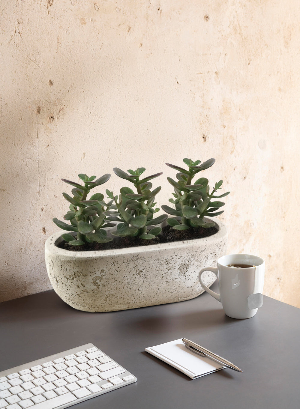 Beige Cement Oval Planter