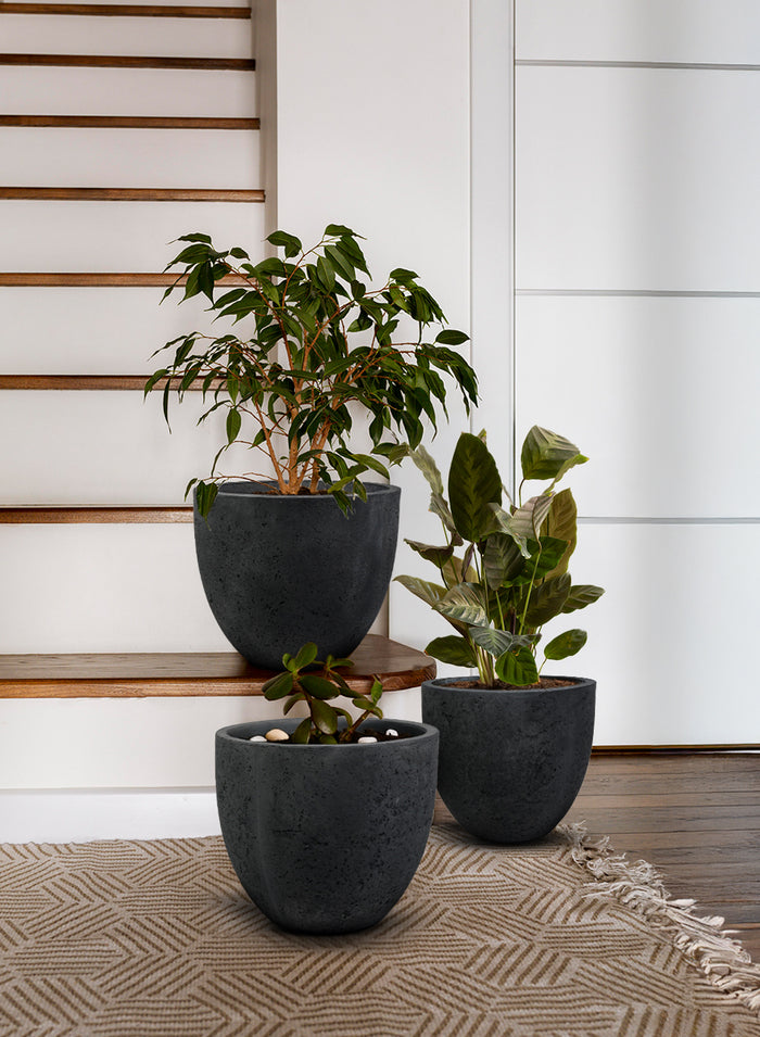 Charcoal Black Cement Planter Pot