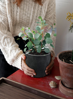 Charcoal Black Cement Planter Pot