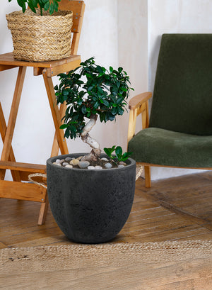 Charcoal Black Cement Planter Pot