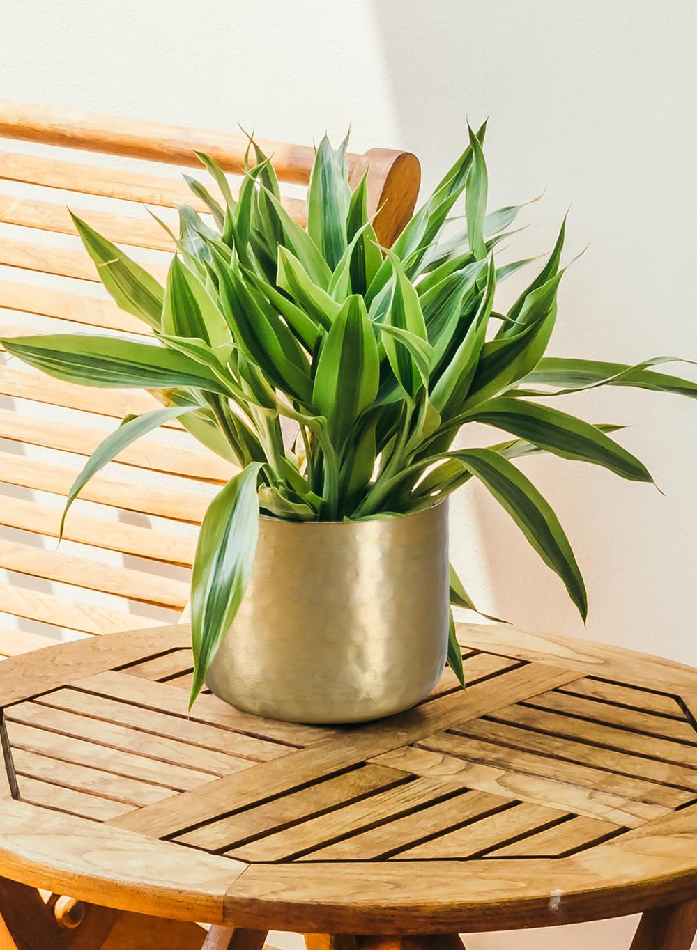 Antique Gold Hammered Pots Collection